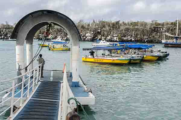 85 - Ecuador - islas Galapagos - isla Santa Cruz - Puerto Ayora - embarcadero